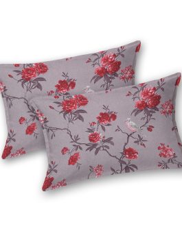 Daisy 108×108 King Size Bedsheet DS25